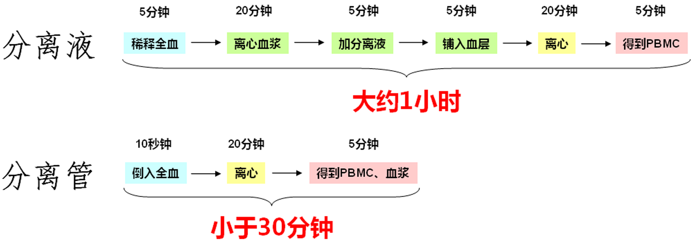 分离管2.jpg