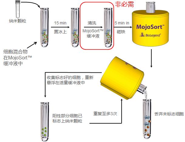 MojoSort 阳性选择细胞分离步骤.jpg